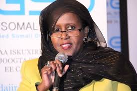 A beacon of hope toward a unified Somali diaspora launched in Virginia, USA