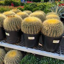 4925 e carefree hwy, cave creek, az 85331, usa address. Photos At The Home Depot 16 Tips