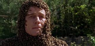 Malcolm In The Middle: 15 Behind-The-Scenes Facts