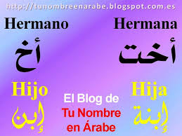 All Categories Almacenamiento De Archivos Gratis