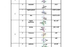 18 exhaustive molecular hybridization chart