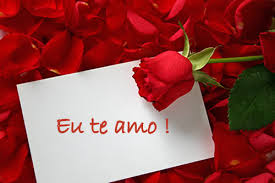 images?q=tbn:ANd9GcShNhHmwx0ogkRQ-Faxrjm