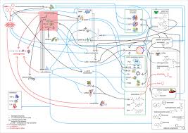 Dia adalah bos dari emgrand group. The Effects Of Flavonoids Green Tea Polyphenols And Coffee On Dmba Induced Line 1 Dna Hypomethylation