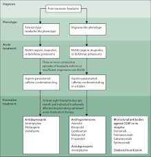 Check spelling or type a new query. Post Traumatic Headache Attributed To Traumatic Brain Injury Classification Clinical Characteristics And Treatment The Lancet Neurology