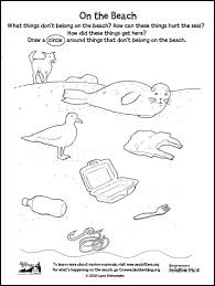 The color of harbor seals is variable but shades of black/grey or brown/tan are most common. Cool Stuff For Kids