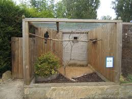 Bird Aviary For Sale Near Me How To Build An Indoor Bird Aviary Bird Aviary Bird Houses Aviary