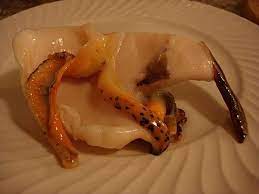 Lightly scrub your shells with a brush to remove any leftover dirt and grime. Delicious Home Made Conch Burger Recipe