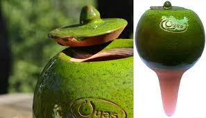 Les Pots Qui Arrosent A Votre Place Ulule Poterie Jardin Poterie Irrigation