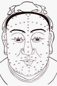 the face and its age points in face reading