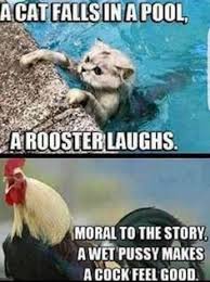 Kick his sister in the jaw. Dirty Jokes