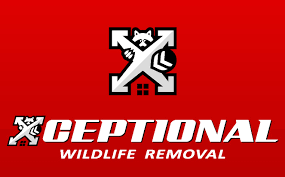 The louisiana department of wildlife and fisheries is responsible for managing and protecting louisiana's abundant natural resources. Xceptional Wildlife Removal Linkedin