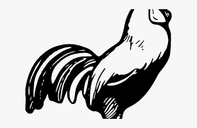 We did not find results for: Easy Draw Free Rooster Black And White Clipart Hd Png Download Transparent Png Image Pngitem