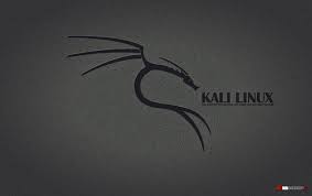 A collection of the top 49 kali linux wallpapers and backgrounds available for download for free. Kali Linux Wallpapers Top Free Kali Linux Backgrounds Wallpaperaccess