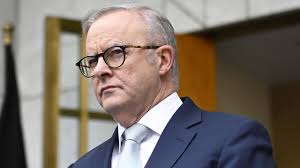 Investigator appointed to oversee greyhound racing industry claims of  malpractice