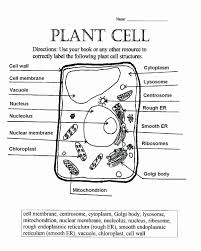 Passive Transport Coloring Answers Elegant Plant And Animal Cell Coloring Worksheets Key Brotherprin Cells Worksheet Plant Cells Worksheet Plant Cell Diagram