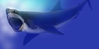 Le décodage complet du génome du grand requin blanc révèle non seulement son énorme taille, une fois et demie celle du génome humain, mais également plusieurs adaptations le grand requin blanc (carcharodon carcharias) est l'une des créatures océaniques qui fascinent le plus les humains. Megalodon Le Plus Grand Requin De Tous Les Temps