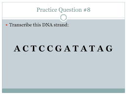 Colored transmission electron micrograph of deoxyribonucleic acid, (dna pink), transcription coupled with translation in the bacterium. Do Now What Is The Function Of Dna Ppt Download