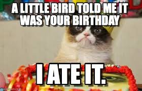 5 out of 5 stars. Grumpy Cat Birthday Quotes Quotesgram