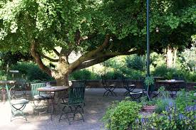Wo Limburg Herrlich Unaufregend Und Unspekatkular Ist Vielweib On Tour Terassenideen Botanischer Garten Garten