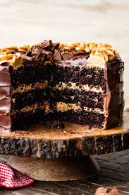 Chocolate Peanut Butter Cake