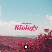 Ovarium Adalah Tempat Terjadinya A Fertilisasi B Implantasi C Perkembangan Bayi D Brainly Co Id