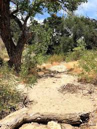 Groundwater is the primary source of water for stream flow. Stream Flow Classification Tool Receives Preliminary Endorsement To Be Rolled Out Across U S Southwest Southern California Coastal Water Research Project