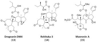 Image result for Trichilia prieuriana