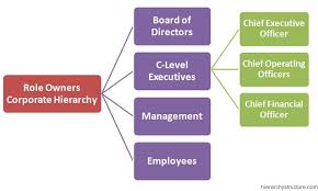 Role Owners Corporate Hierarchy Hierarchy Corporate Chief Financial Officer