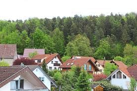 Hier findet man, eingebettet in eine wunderschöne natur, zahlreiche krater, die sich mit wasser gefüllt. Rottenburg Der Rottenburger Wald Steht Derzeit Gut Da Rottenburg Umgebung Schwarzwalder Bote