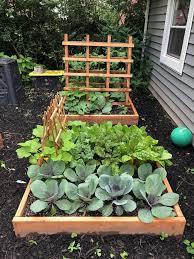 Growing zucchini vertically will increase yields and provide more uniform zucchini since the zucchini is. End Of Summer Garden Update Year One The Colorful Kitchen