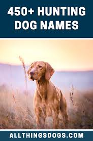 hunting dog names hunting dog names dog names dogs