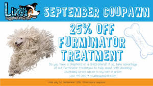 Search for other dog & cat grooming & supplies in san antonio on the real yellow pages®. Lucy S September Coupawns Lucy S Doggy Daycare