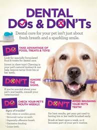 BarCar Acres Pet Resort