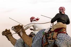 Sam houston race park is houston's premier racing, dining and entertainment destination located 15 minutes from downtown. Camel Racing Revival Draws Crowds In Gulf