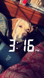 Draws Di Shahdmohamed Instagram Storie Di Instagram Storie