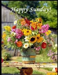 However, was very entertained by the cute little surprises around the corners. Coombs Flowers On Twitter May You Have A Blessed And Relaxing Sunday Sundayfunday Summer Morgantown Westvirginia
