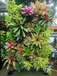 Pin On Vertical Garden