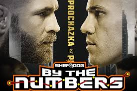 Joey "The Raging Warrior" Gambino MMA Stats, Pictures, News, Videos,  Biography