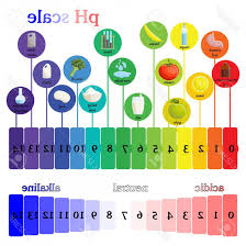 Photostock Vector Ph Scale Litmus Paper Color Chart