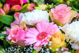 Find flowers italy on theanswerhub.com. List Of Italian Flower Names Learn Italian Words Related To Plants Flowers Parlando Italiano