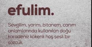 We did not find results for: Efulim Ne Demek Karadeniz