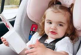 Poodle loves cart rides and fun moments