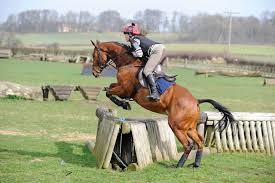 Purchase one of our designs, or design your own. Cross Country Riding Advice From Harry Meade And Karen Dixon Your Horse