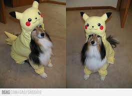 Pikachu Dog Costume Pikachu Happy Animals Dog Costume