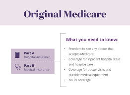 What is part b medicare insurance. Learn About The Parts Of Medicare Aetna Medicare