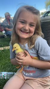 What breed is my yellow gosling and how do I care for it?