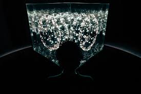 Image result for Exotheca