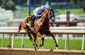 Horse racing nation free past performances. Kentucky Derby 2018 Free Past Performances Now Available