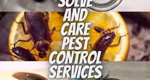 Cockroach pest control services near you. Solve And Care Pest Control Services In Kalyan Address Guru
