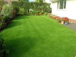 Get 50% off your first lawn application. Grassroots Lawn Treatment Services Home
